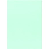 KASKAD COLOURED PAPER A2 225GSM LEAFBIRD GREEN SHEET