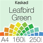 KASKAD COLOURED PAPER A4 160GSM LEAFBIRD GREEN PACK 250