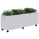 RAPID MOBILE PLANTER INCLUDING SHORT PLANTS L1600 X H600 WHITE