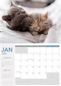 COLLINS WALL CALENDAR A4 CATS  DOGS